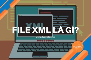 File XML Là Gì?